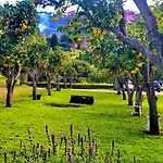 Quinta Da Salada - 팜스테이 *