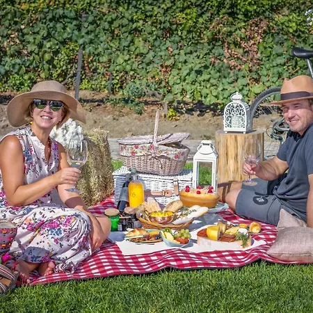 Gospodarstwo agroturystyczne Quinta Da Salada - Lamego