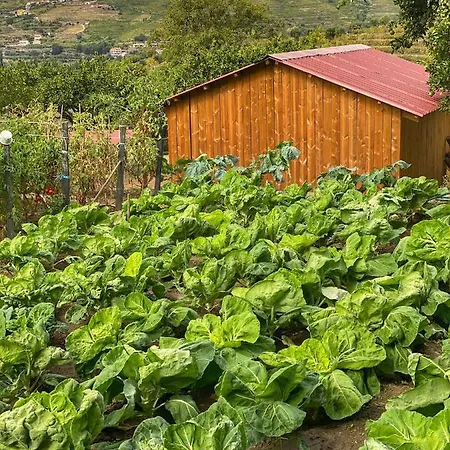 ファームステイ Quinta Da Salada -