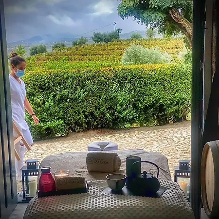 Gospodarstwo agroturystyczne Quinta Da Salada - Lamego