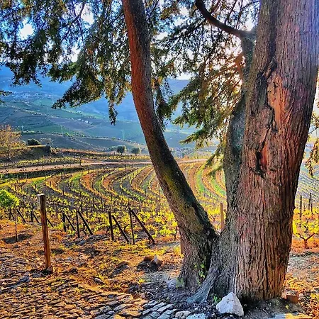 Gospodarstwo agroturystyczne Quinta Da Salada -