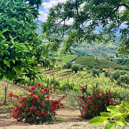 Quinta Da Salada - Feriegård