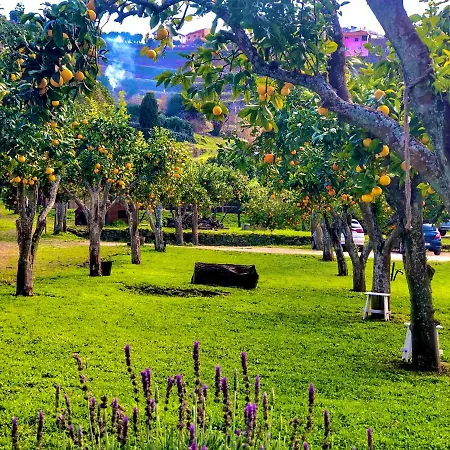 Quinta Da Salada - Gospodarstwo agroturystyczne *