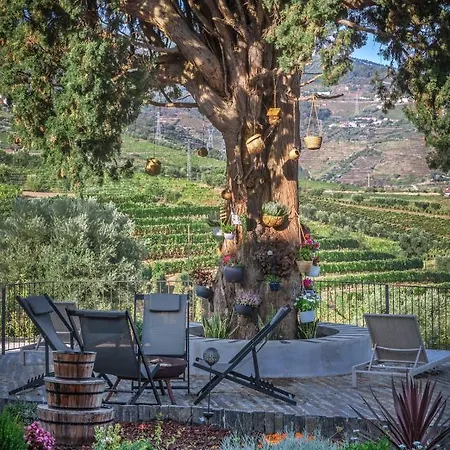 Gospodarstwo agroturystyczne Quinta Da Salada - Lamego