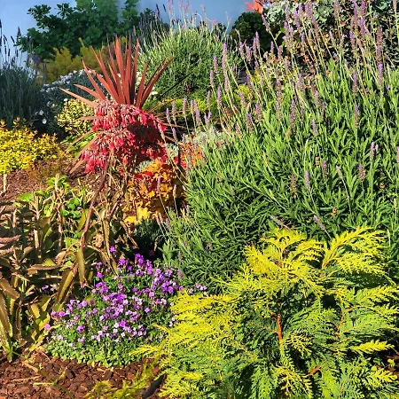 Quinta Da Salada - Gospodarstwo agroturystyczne Lamego