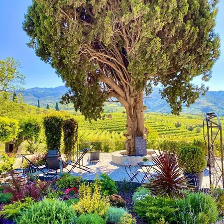 Quinta Da Salada - *