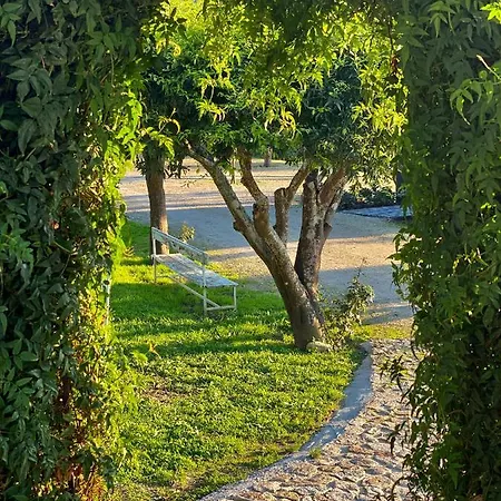 Quinta Da Salada - Farm stay *
