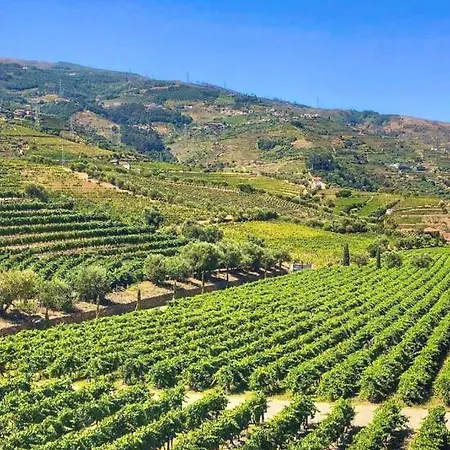 Quinta Da Salada - *