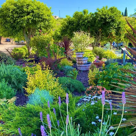 Feriegård Quinta Da Salada -