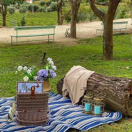 Quinta Da Salada - Gospodarstwo agroturystyczne *