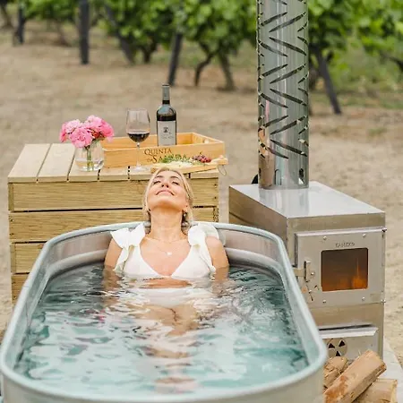 Gospodarstwo agroturystyczne Quinta Da Salada - *