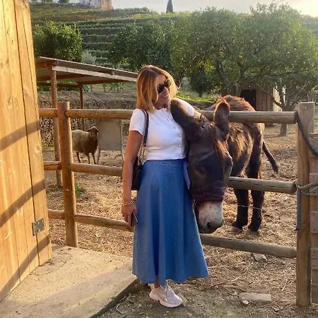 Quinta Da Salada - * Lamego