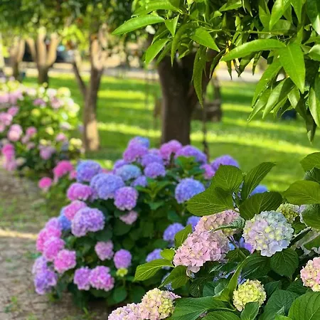 Quinta Da Salada - * Lamego