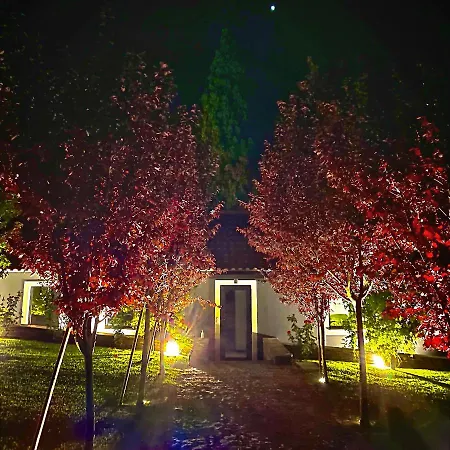 Quinta Da Salada - *