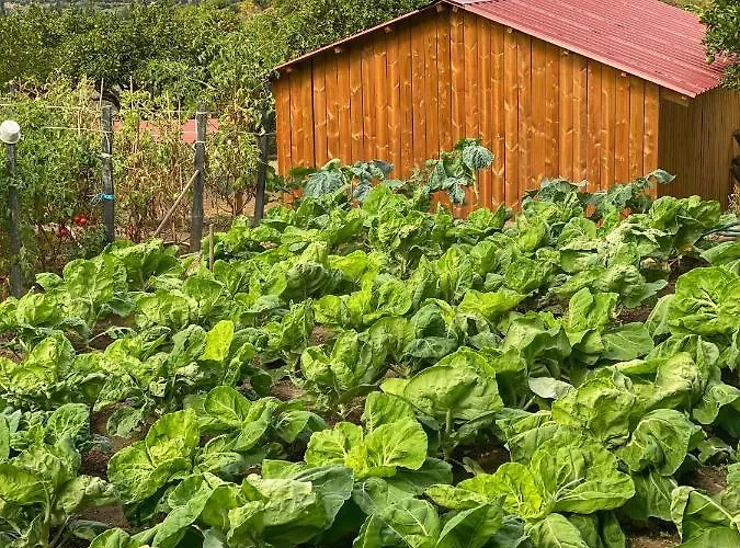 Gospodarstwo agroturystyczne Quinta Da Salada -