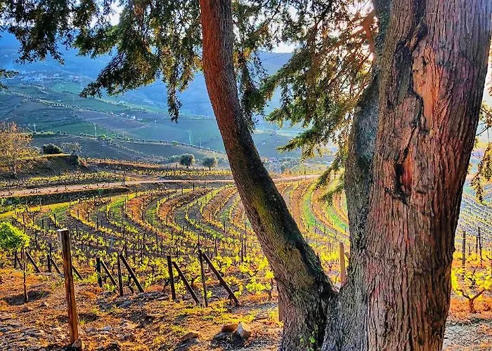 Feriegård Quinta Da Salada -