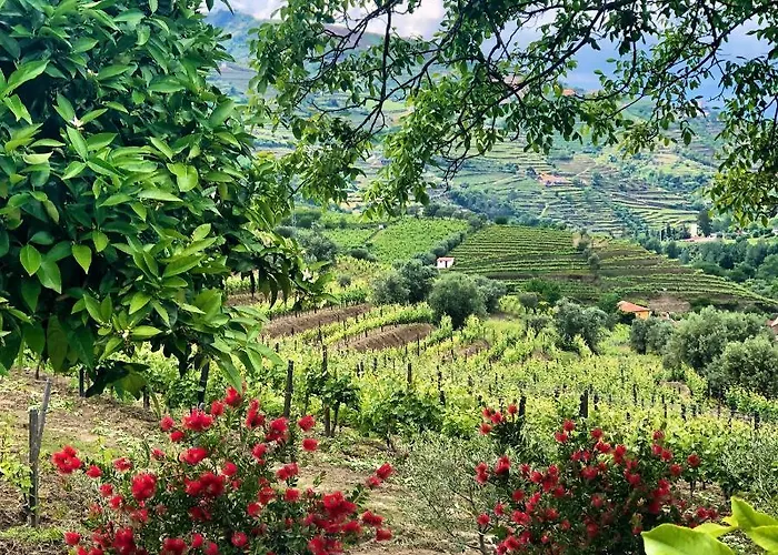 Quinta Da Salada - Gospodarstwo agroturystyczne