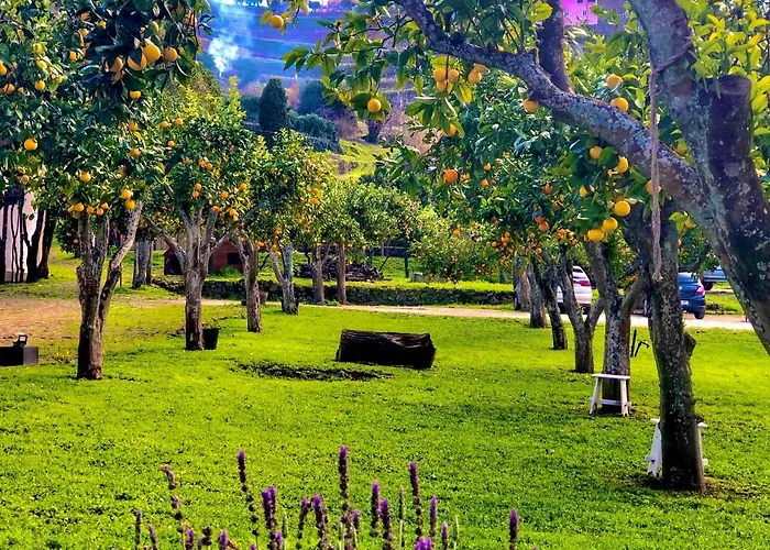 Quinta Da Salada - Gospodarstwo agroturystyczne *