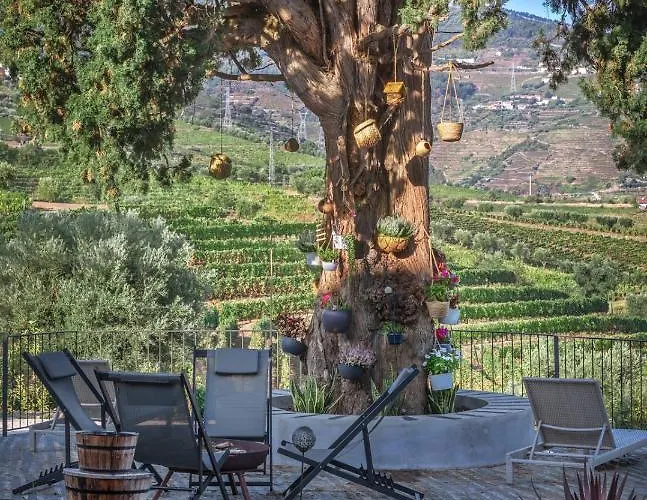 Feriegård Quinta Da Salada - Lamego