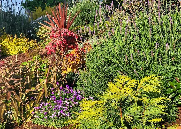 Quinta Da Salada - Gospodarstwo agroturystyczne Lamego