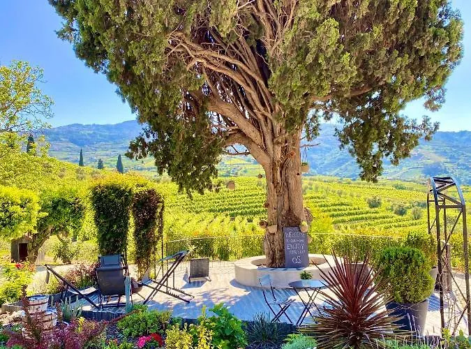 Quinta Da Salada - *