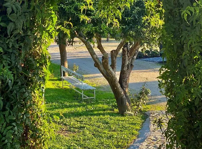 Quinta Da Salada - Gospodarstwo agroturystyczne *