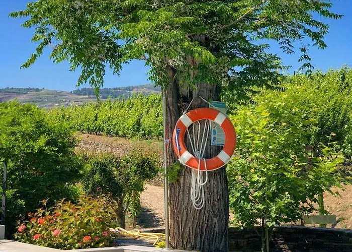 Quinta Da Salada - Feriegård Lamego