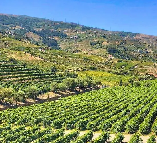 Quinta Da Salada - *