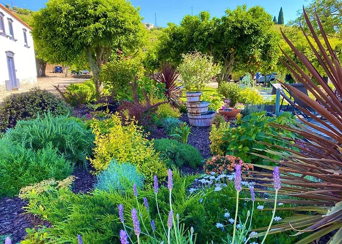 Feriegård Quinta Da Salada -