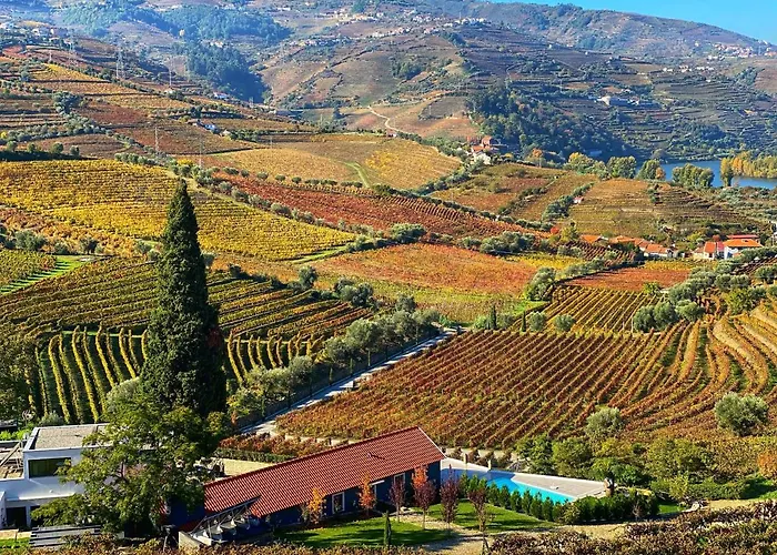 Quinta Da Salada - Gospodarstwo agroturystyczne Lamego