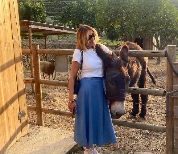 Quinta Da Salada - * Lamego