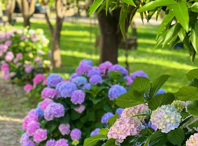 Quinta Da Salada - * Lamego