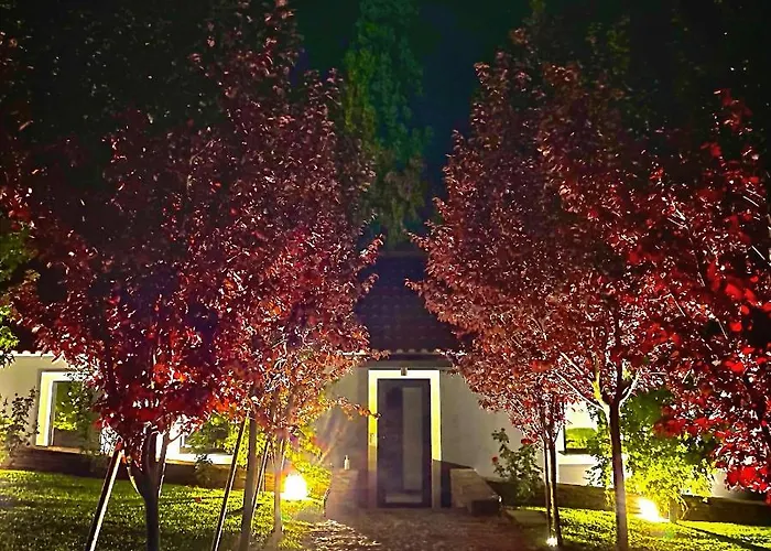 Quinta Da Salada - *