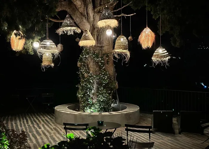 Quinta Da Salada - למאגו